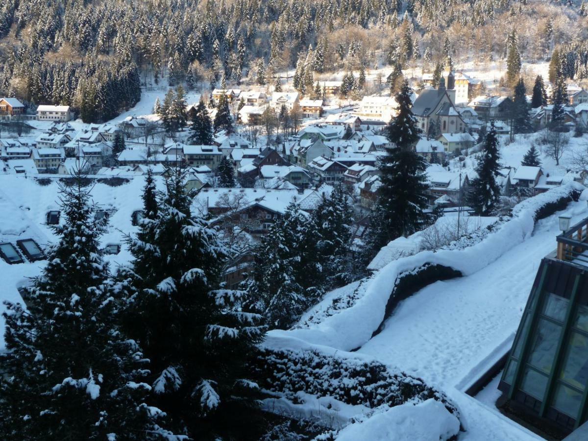 Haus Dachsberg Todtmoos Leilighet Eksteriør bilde