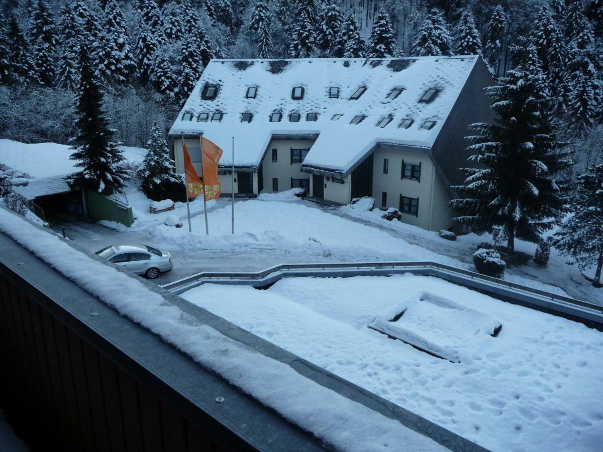 Haus Dachsberg Todtmoos Leilighet Eksteriør bilde