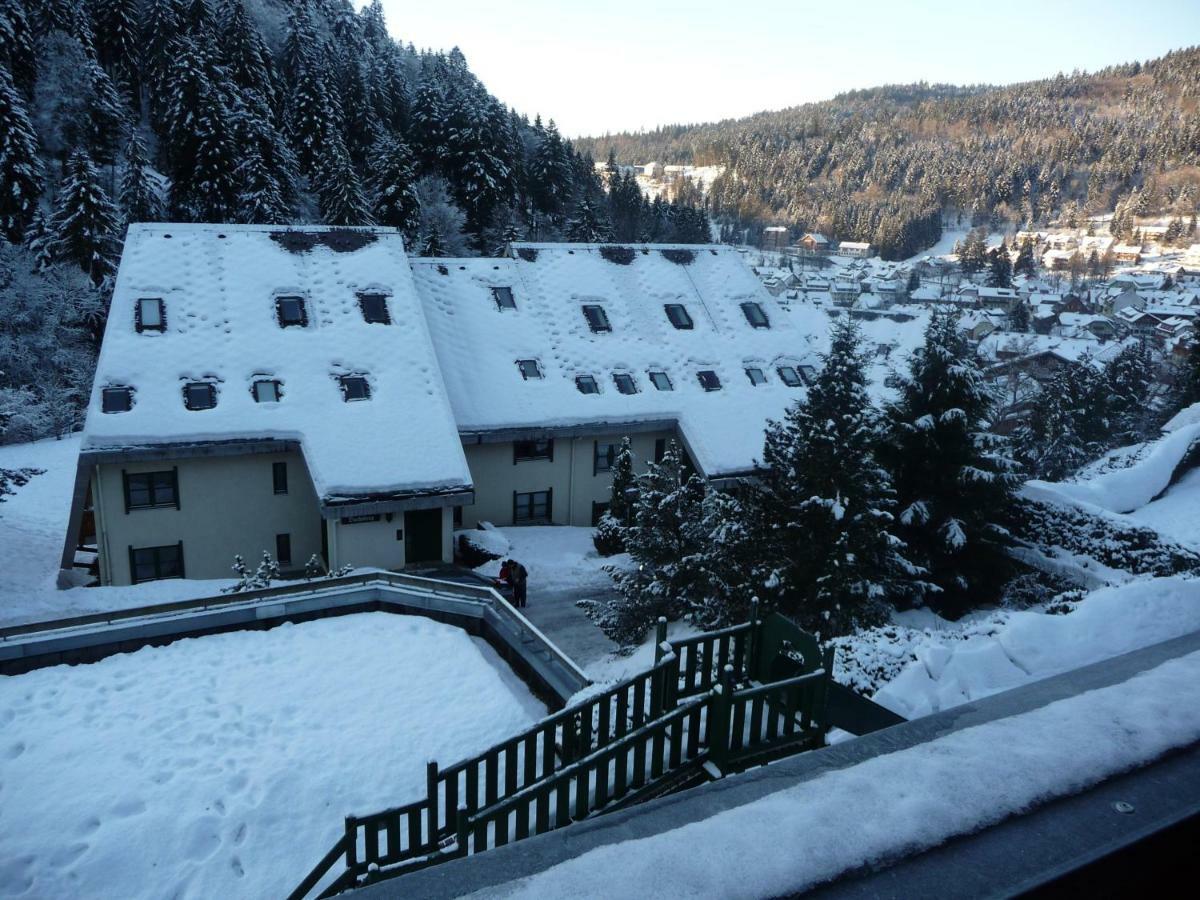 Haus Dachsberg Todtmoos Leilighet Eksteriør bilde